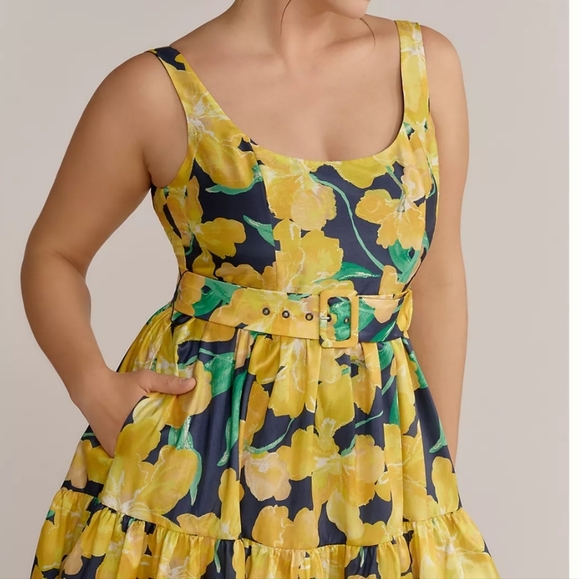 NEW Anthropologie Hutch Alice Fit & Flare Midi Dress Size 4P - Picture 7 of 16